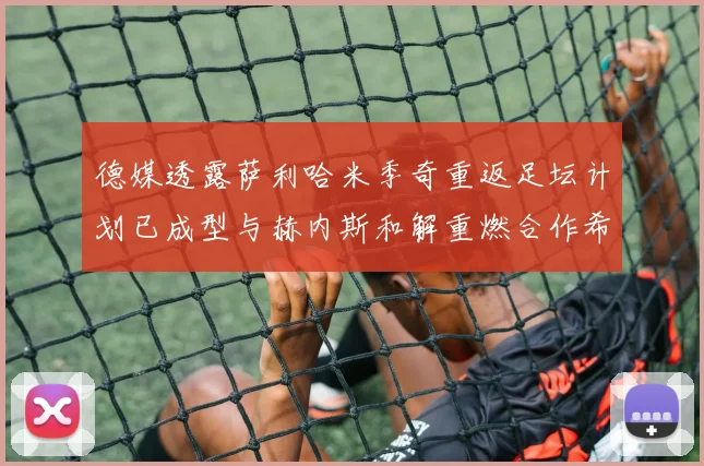 德媒透露萨利哈米季奇重返足坛计划已成型与赫内斯和解重燃合作希望